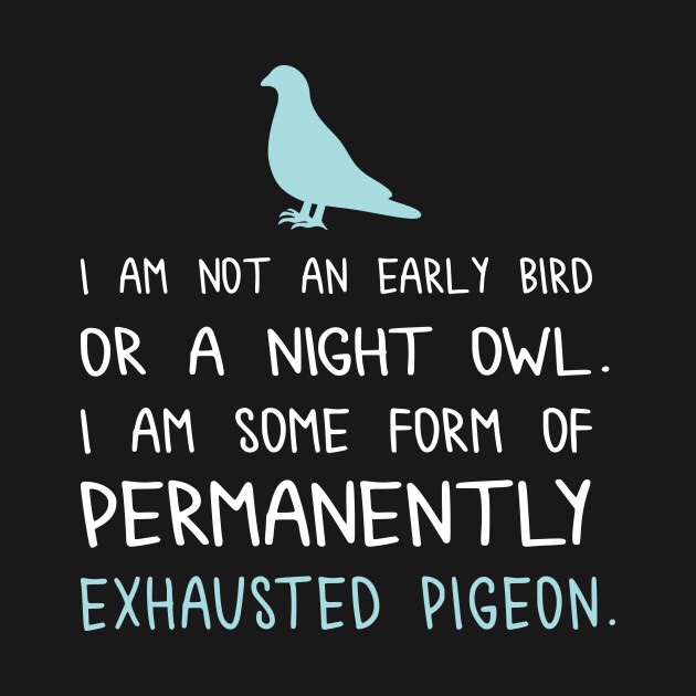 (I am actually a night owl, I just think this one is really funny)